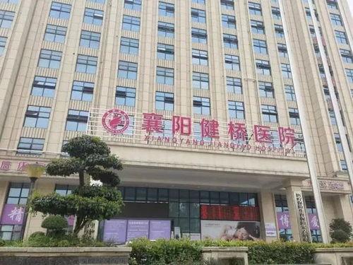 襄阳医院最新爆料新闻视频,揭秘事件真相与影响